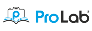 PROLABINDIA Logo